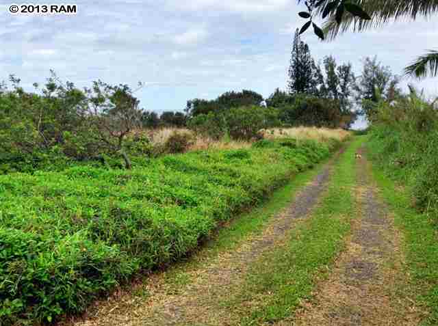 0 North Honokala Road Haiku, HI 96708 - Photo 19 of 21 a view of a garden