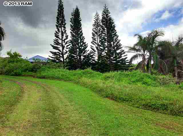 0 North Honokala Road Haiku, HI 96708 - Photo 20 of 21 a view of a garden with a lake