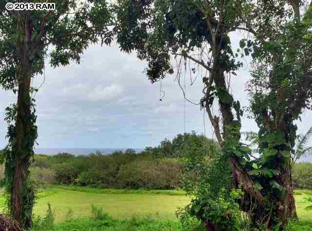 0 North Honokala Road Haiku, HI 96708 - Photo 4 of 21 a view of lake with houses in back