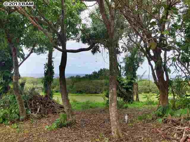 0 North Honokala Road Haiku, HI 96708 - Photo 5 of 21 a view of a garden