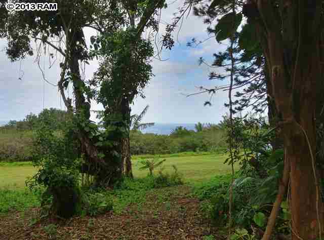 0 North Honokala Road Haiku, HI 96708 - Photo 6 of 21