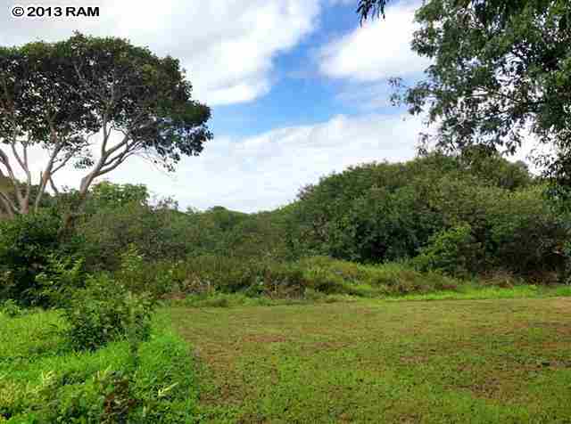 0 North Honokala Road Haiku, HI 96708 - Photo 7 of 21 a view of a grassy field with trees in the background