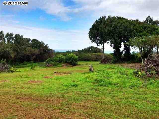 0 North Honokala Road Haiku, HI 96708 - Photo 8 of 21 a view of a green field with wooden fence