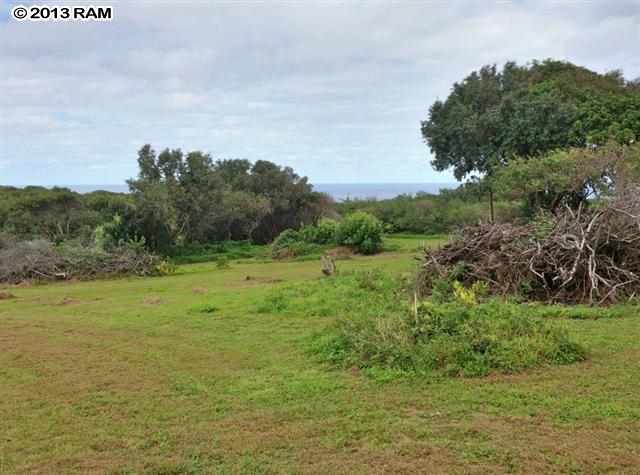 0 North Honokala Road Haiku, HI 96708 - Photo 9 of 21 a view of a field with an trees
