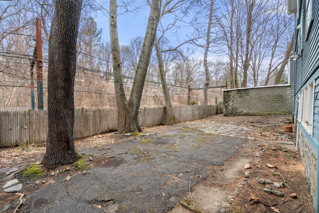 187 Clark Road Brookline, MA 02445 - Photo 32 of 40 a view of backyard and tree