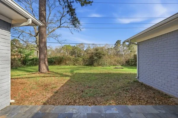a view of a backyard