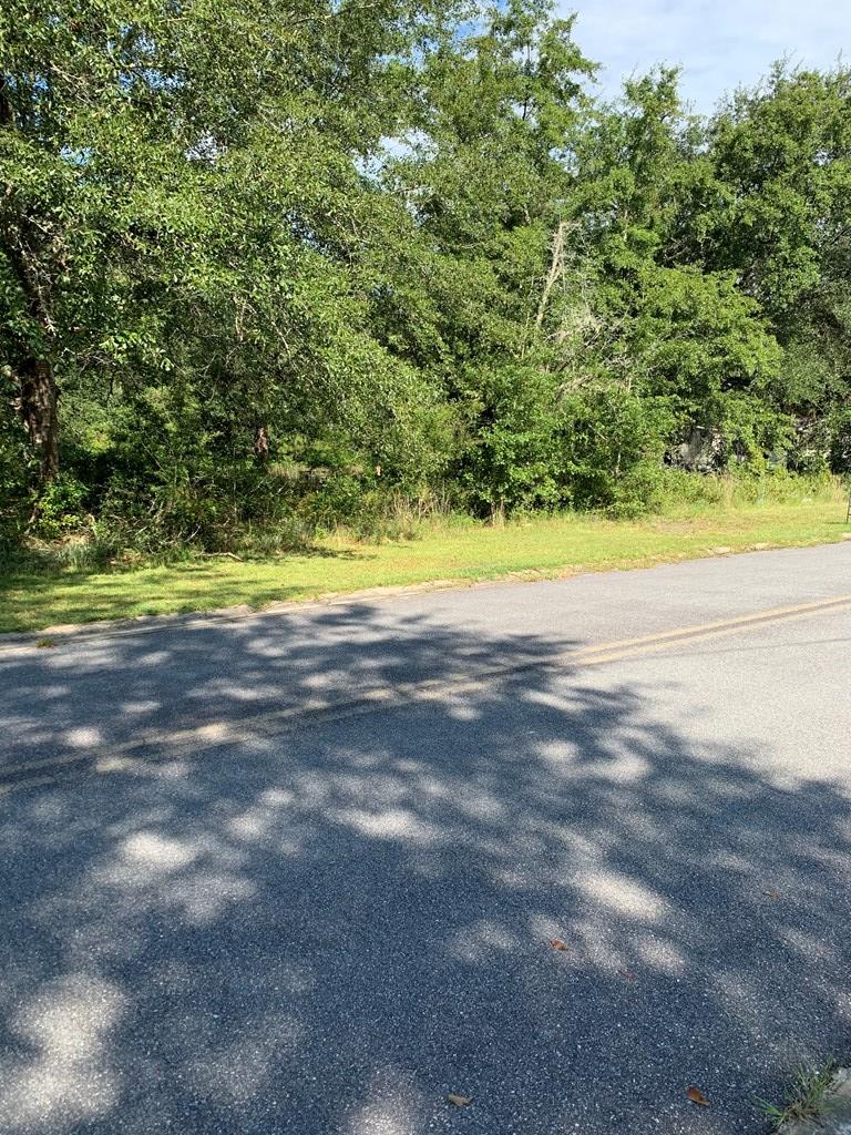 19 Strickland Road Allenhurst, GA 31301 - Photo 2 of 14 Gallery Image 2