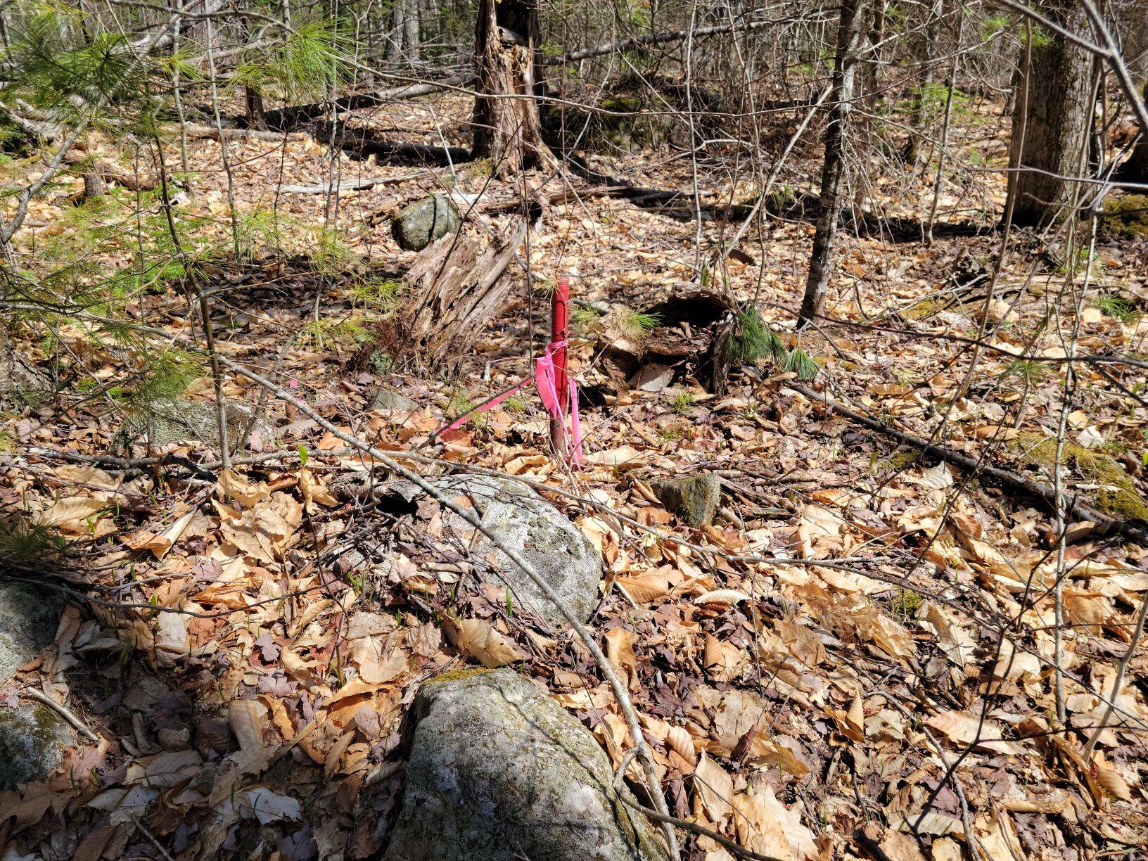 0 Farmer Road Wilton, ME 04294 - Photo 30 of 31 34Wilton boundary 3