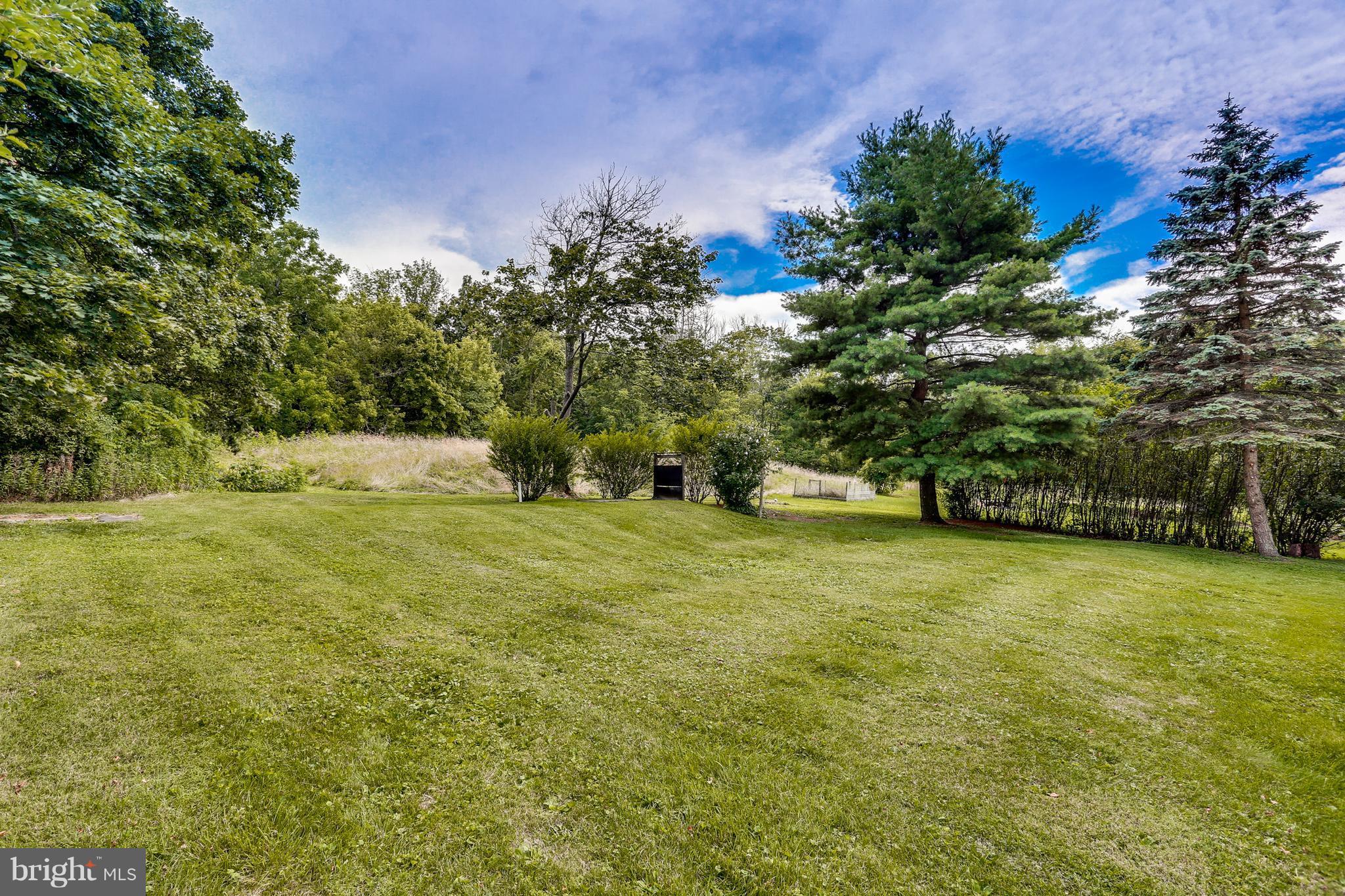 25427 Cascade Road Cascade, MD 21719 - Photo 6 of 30 Huge yard