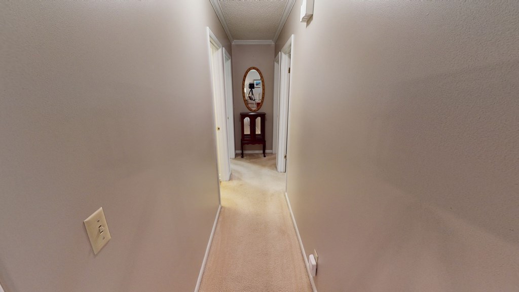 3307 Cathy Lou Road Dothan, AL 36303 - Photo 8 of 25 Hallway