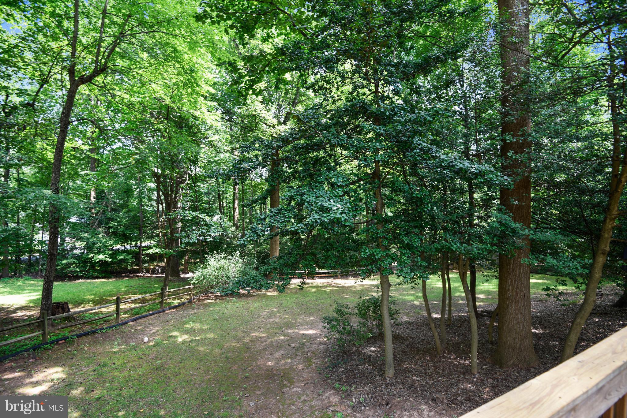 2903 Bree Hill Road Oakton, VA 22124 - Photo 25 of 30 Backyard