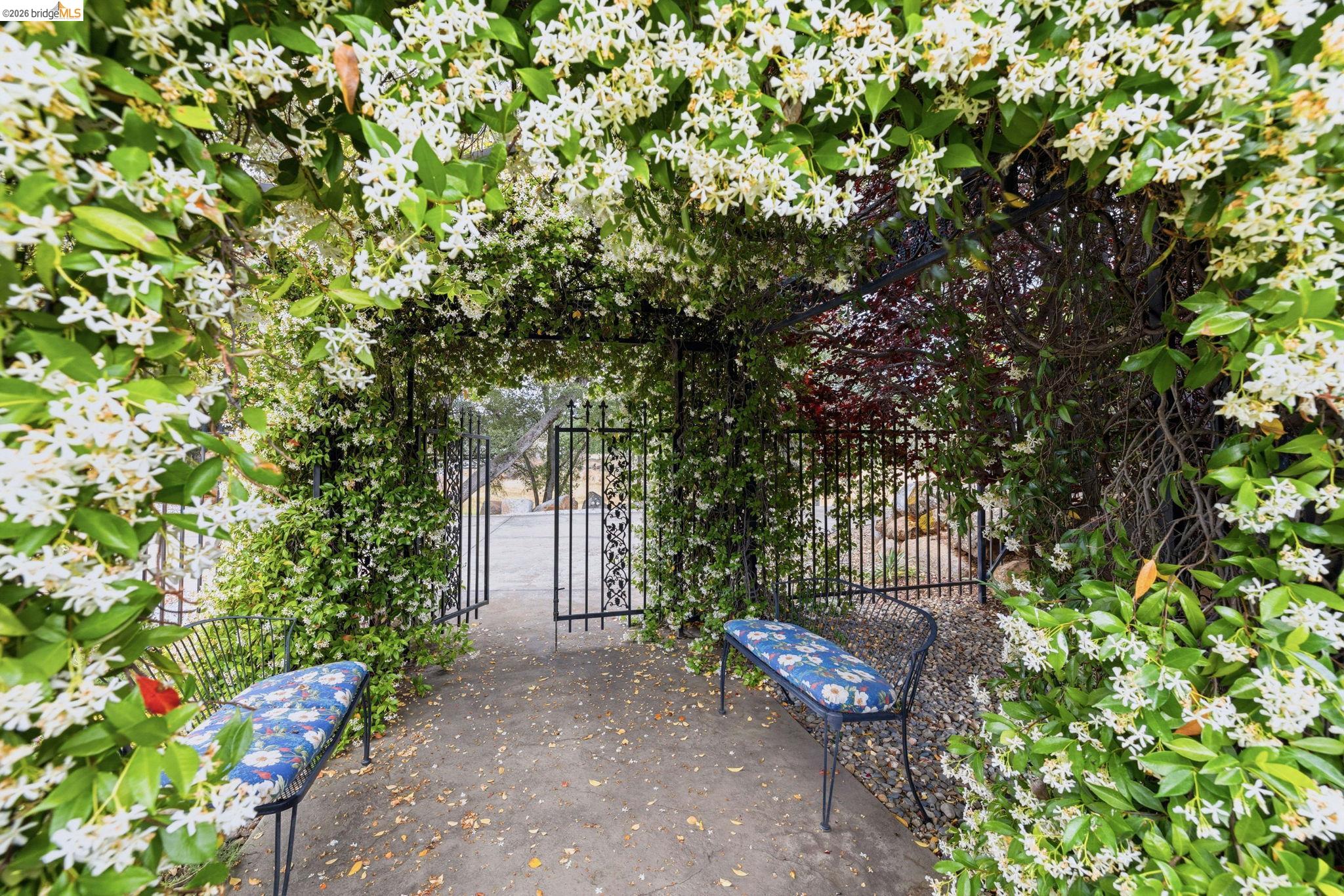 18450 Lambert Lake Road Sonora, CA 95370 - Photo 10 of 87 Lush botanical archway featuring abundant white blossoms and verdant foliage