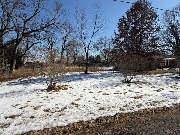 a view of empty space with large trees