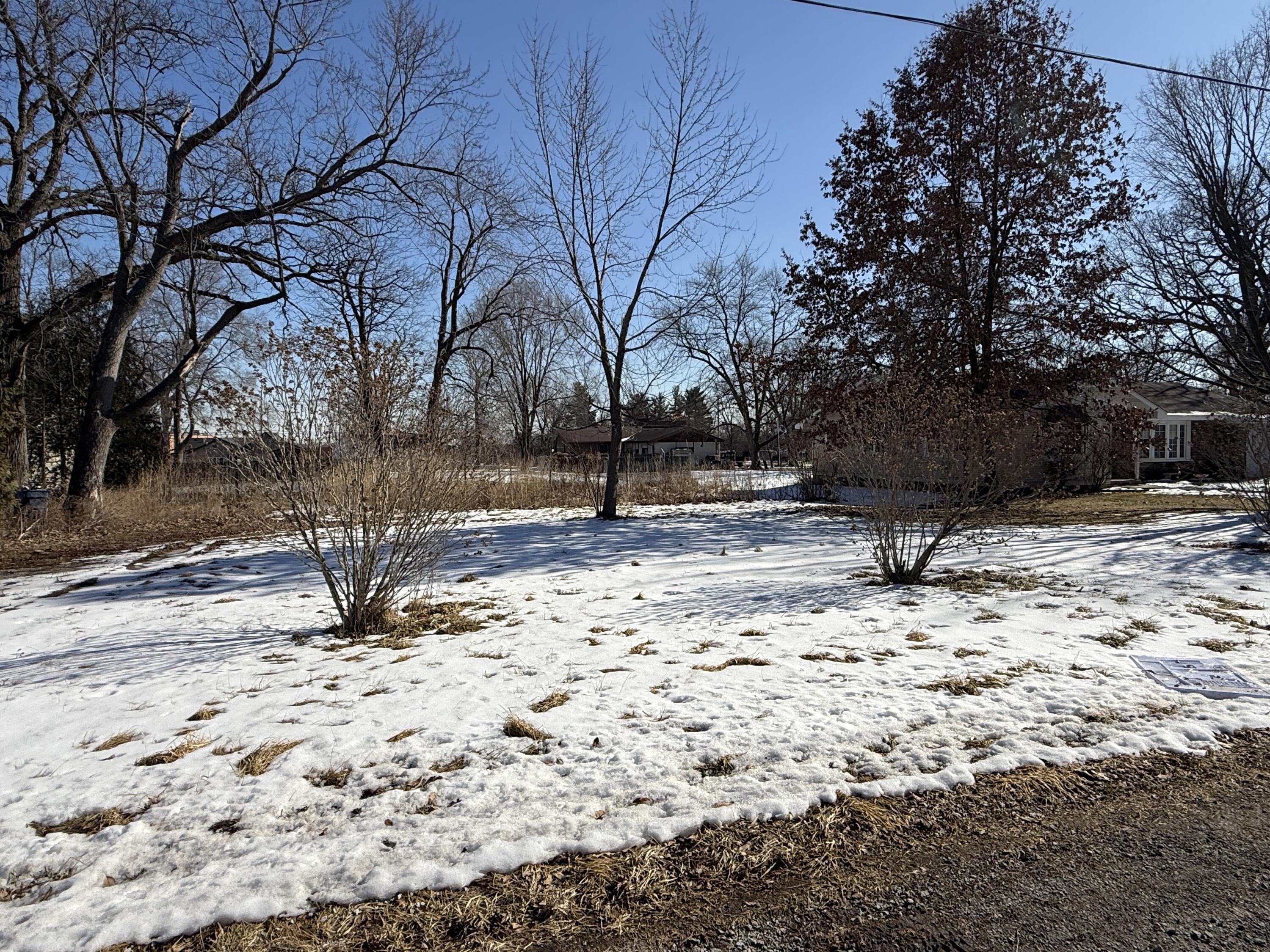 a view of empty space with large trees