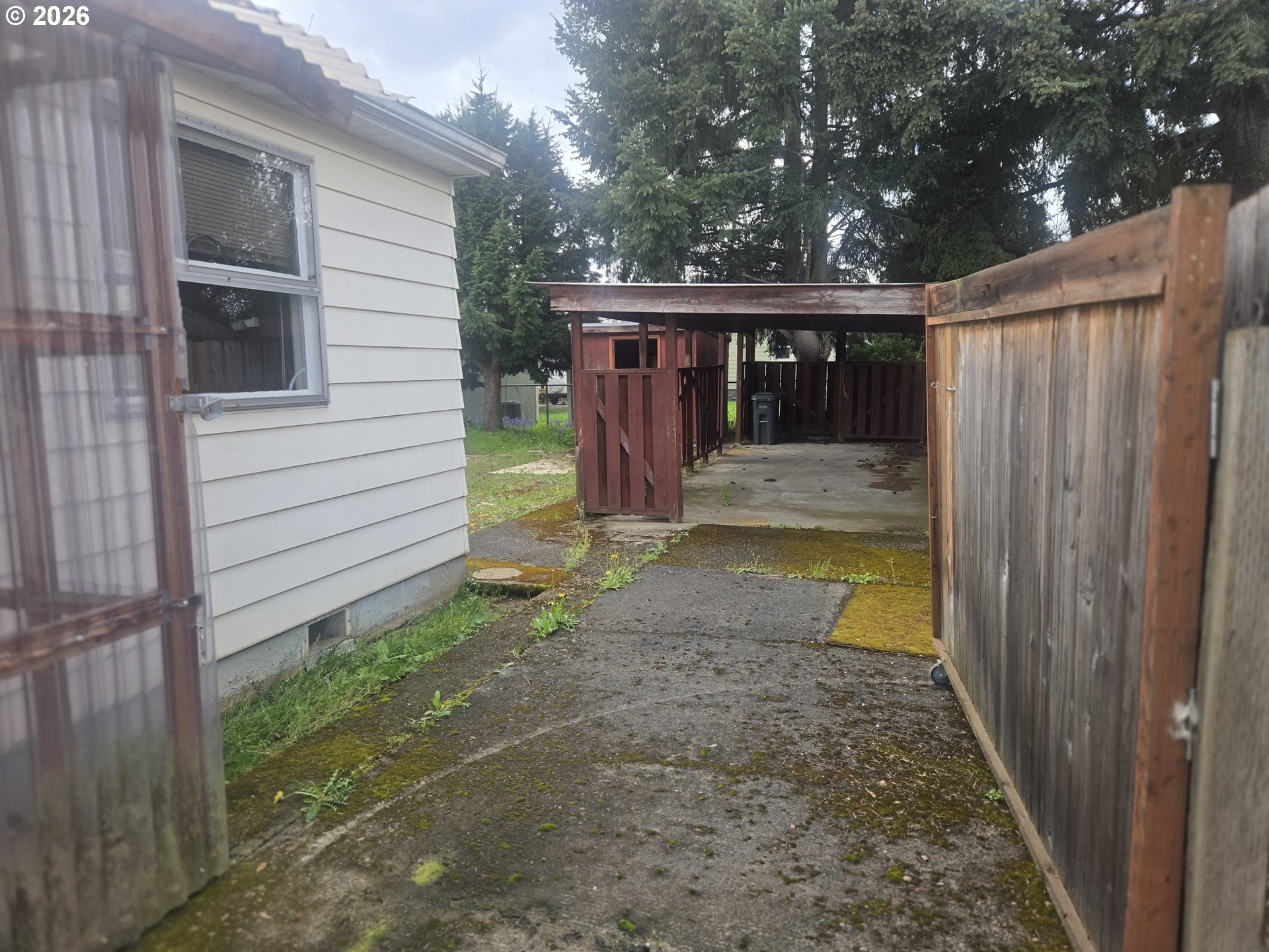 3405 Southeast 69th Avenue Portland, OR 97206 - Photo 20 of 23 a view of a backyard with a large tree