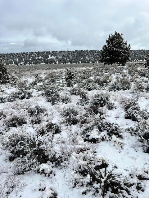 6520 Do Bend, OR 97701 - Photo 14 of 22 unnamed-12