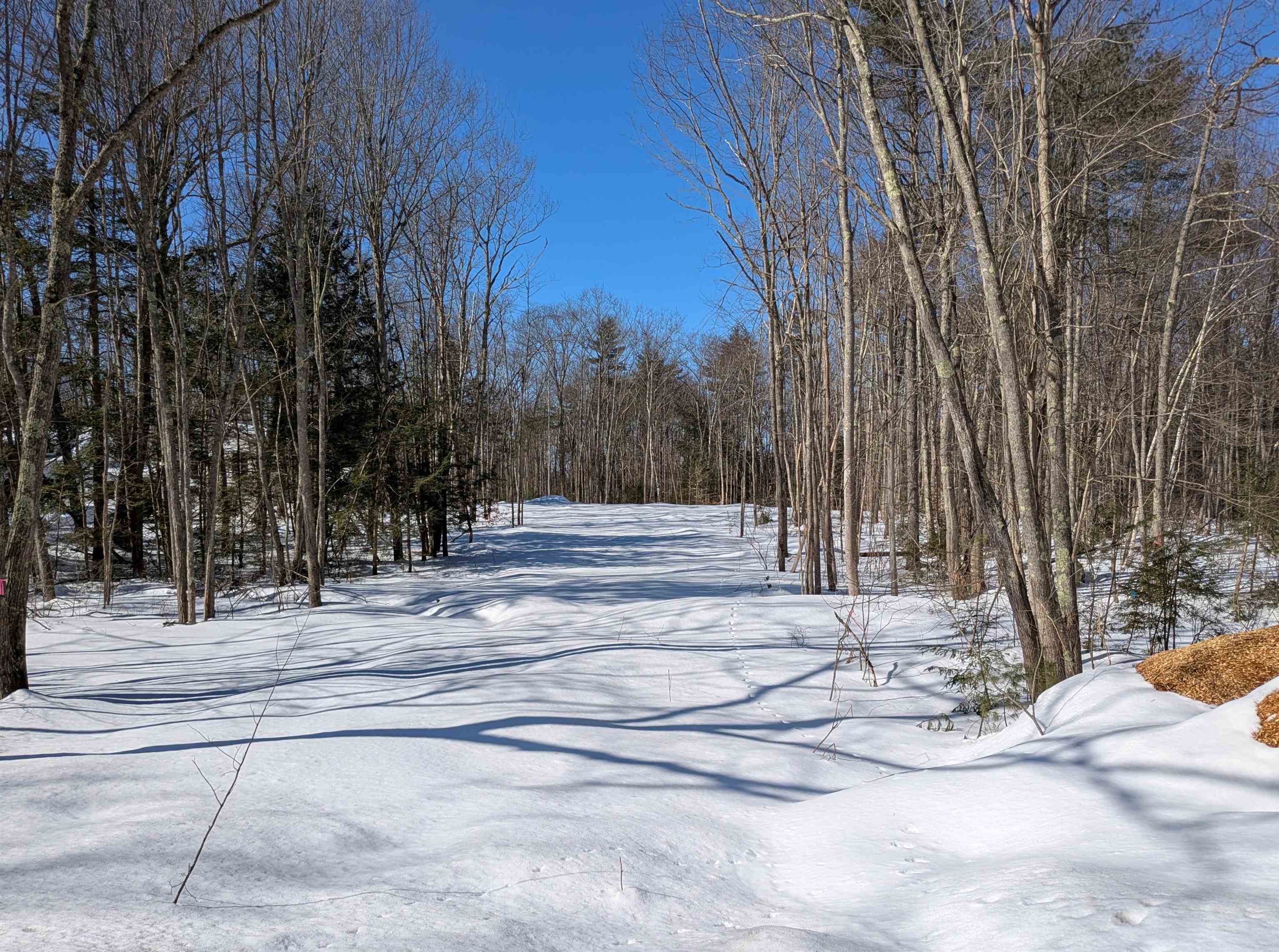 271 Elm Hill Road Peterborough, NH 03458 - Photo 6 of 9