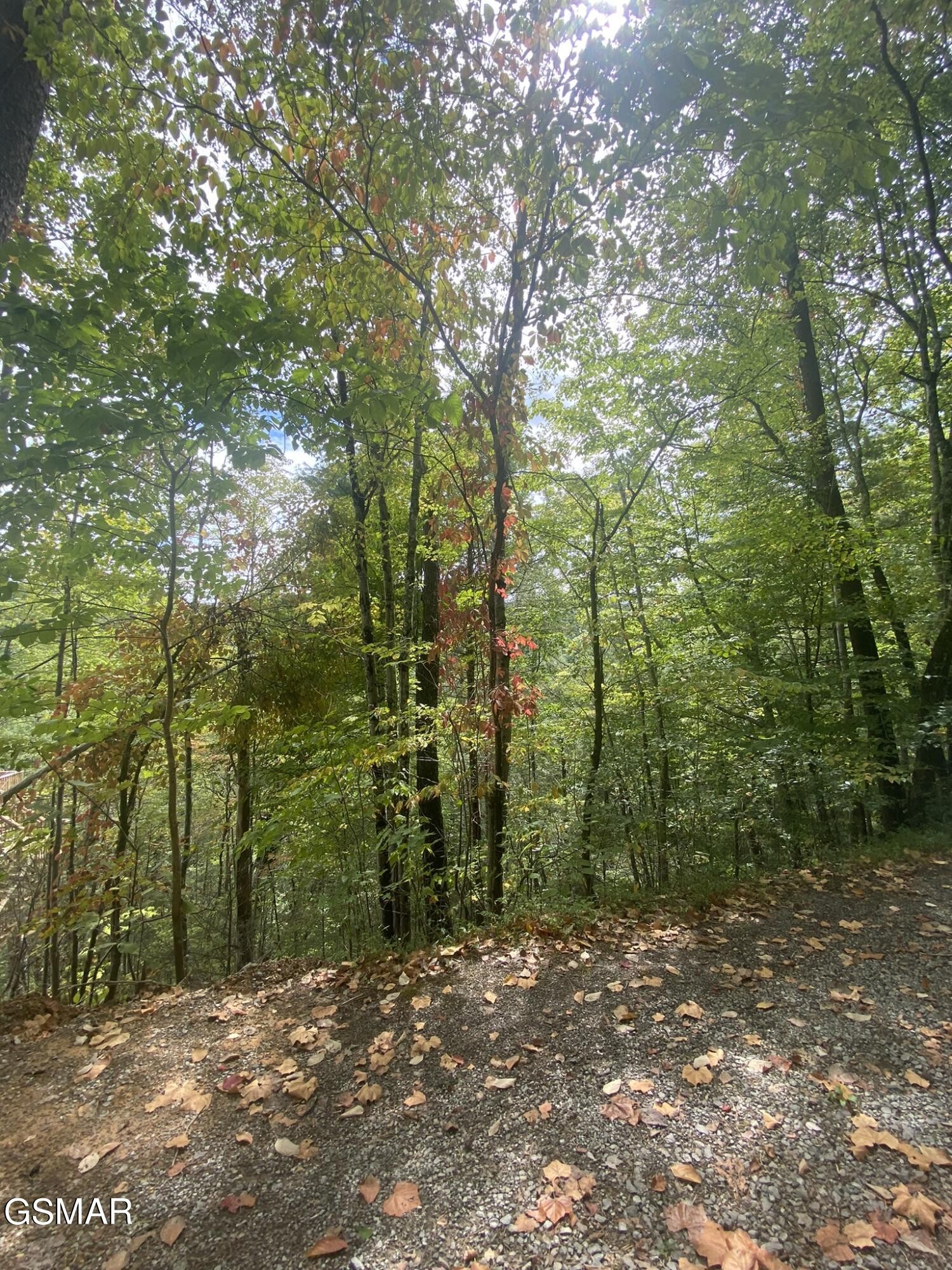 9 Sunset Road Sevierville, TN 37862 - Photo 22 of 22 Gallery Image 22