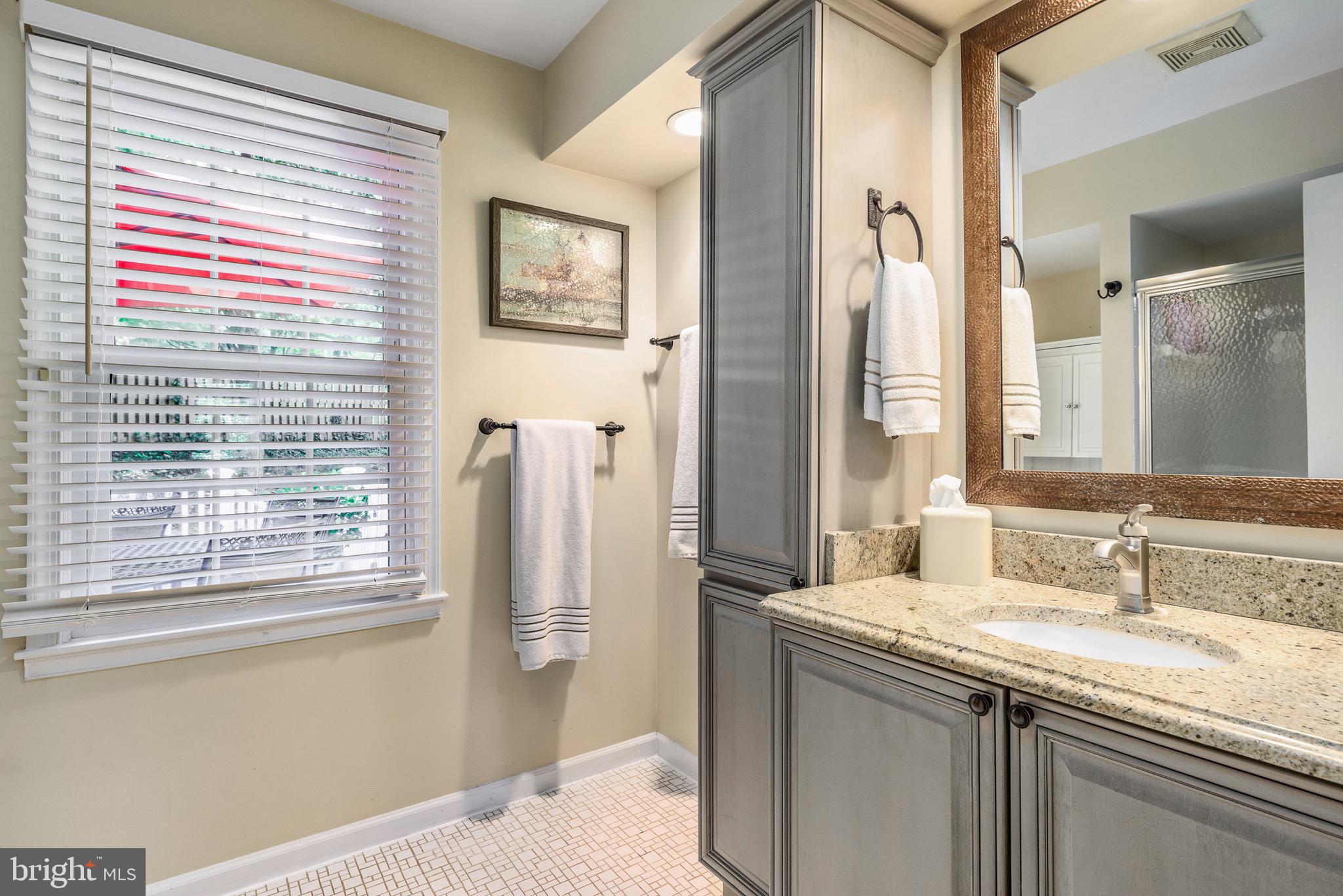 123 Environs Road Sterling, VA 20165 - Photo 21 of 46 Gallery Image 21
