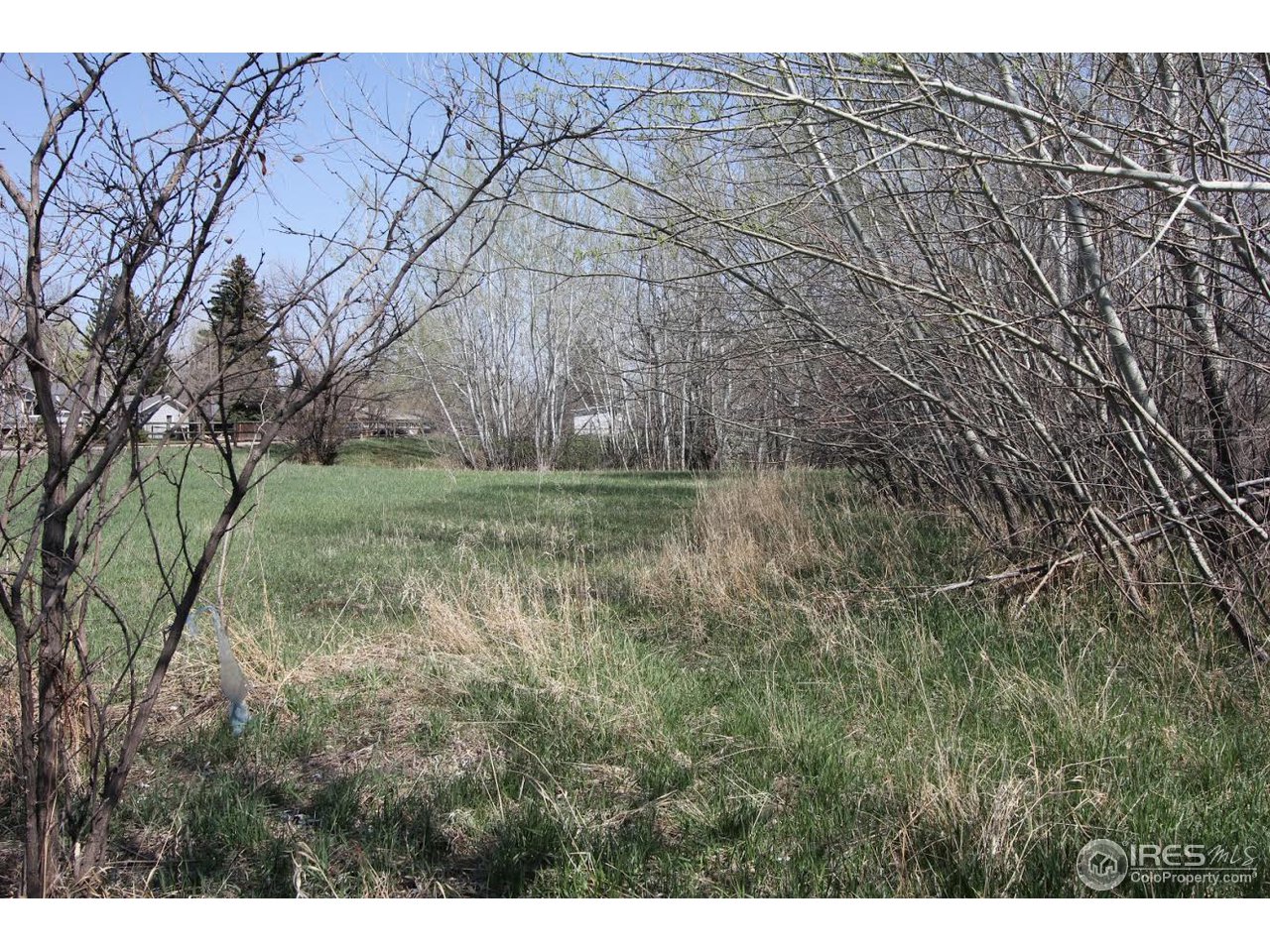 2001 West Prospect Road Fort Collins, CO 80526 - Photo 12 of 13 a backyard of a house with lots of green space
