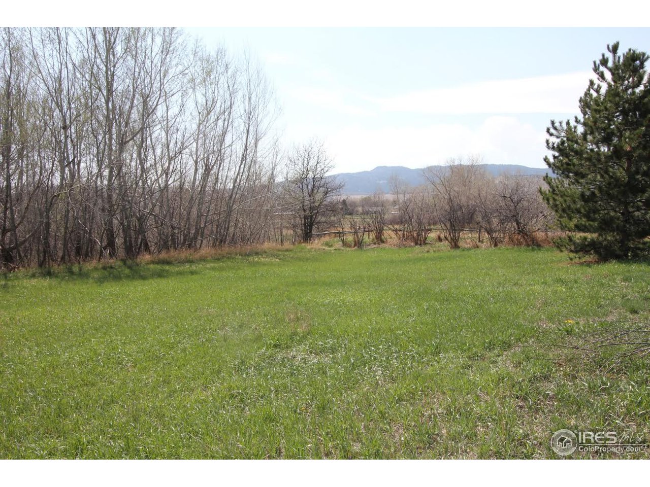 2001 West Prospect Road Fort Collins, CO 80526 - Photo 2 of 13 a backyard of a house with lots of green space