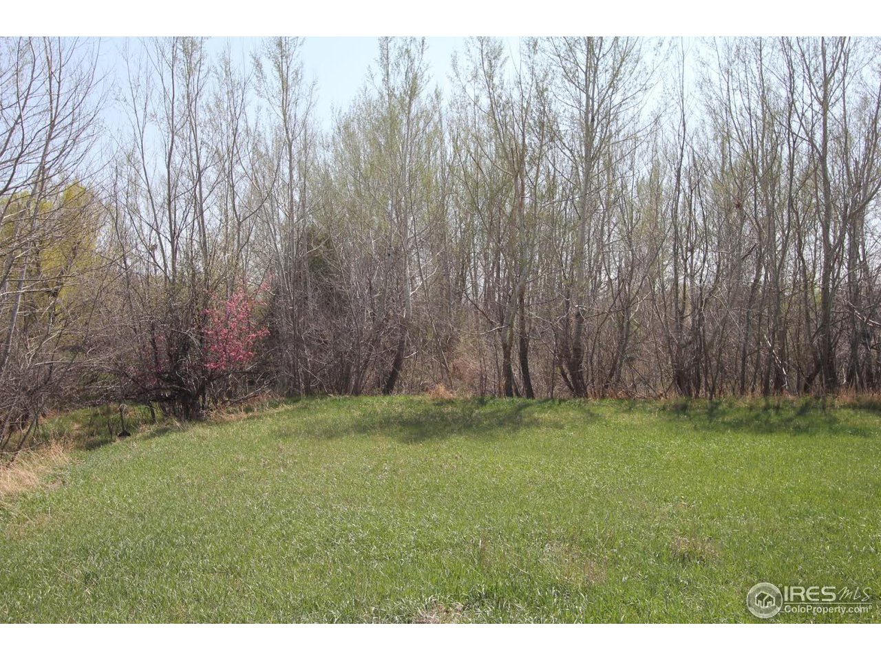 2001 West Prospect Road Fort Collins, CO 80526 - Photo 3 of 13 a view of an outdoor space and a yard
