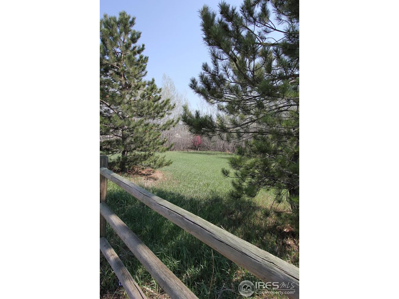 2001 West Prospect Road Fort Collins, CO 80526 - Photo 5 of 13 a picture of a tree in a balcony