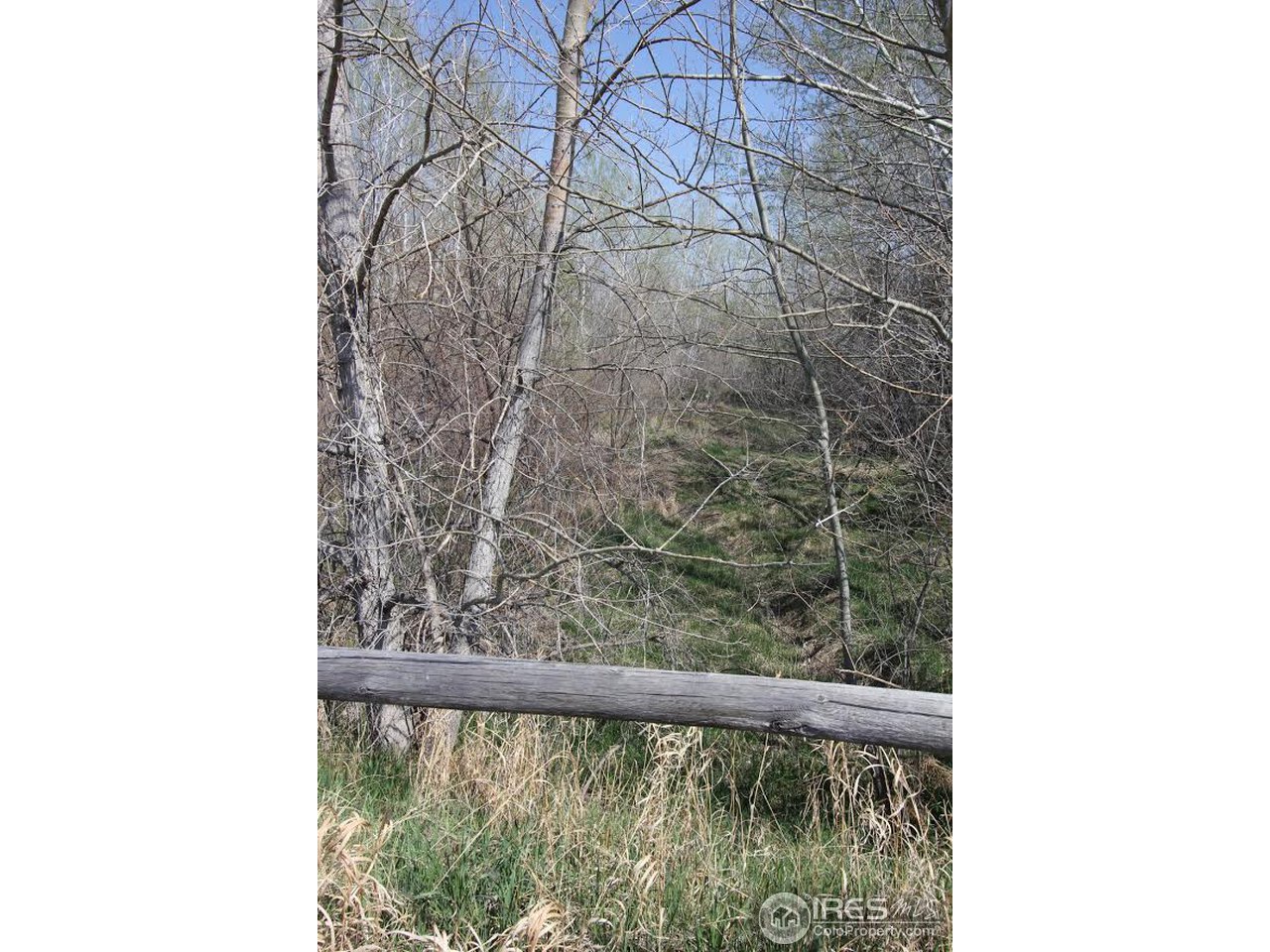 2001 West Prospect Road Fort Collins, CO 80526 - Photo 6 of 13 a view of a small yard from a balcony