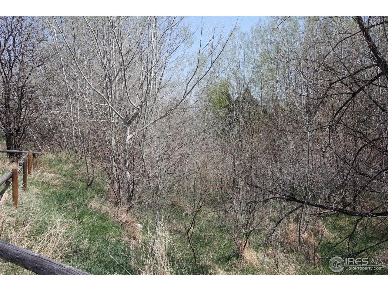 2001 West Prospect Road Fort Collins, CO 80526 - Photo 7 of 13 a view of outdoor space and yard