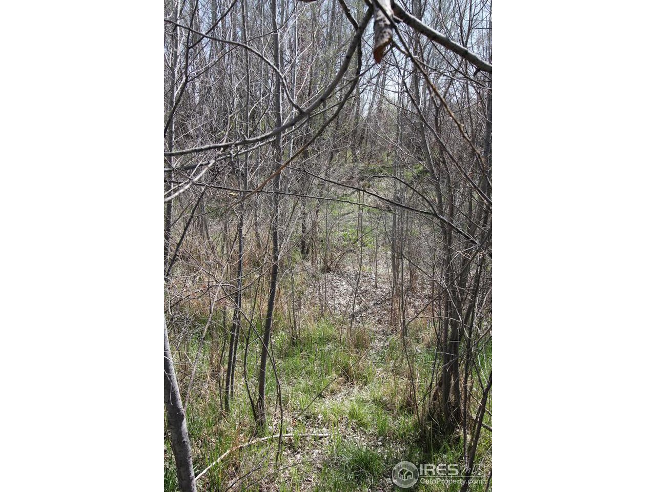 2001 West Prospect Road Fort Collins, CO 80526 - Photo 8 of 13 a close up of a door of a house