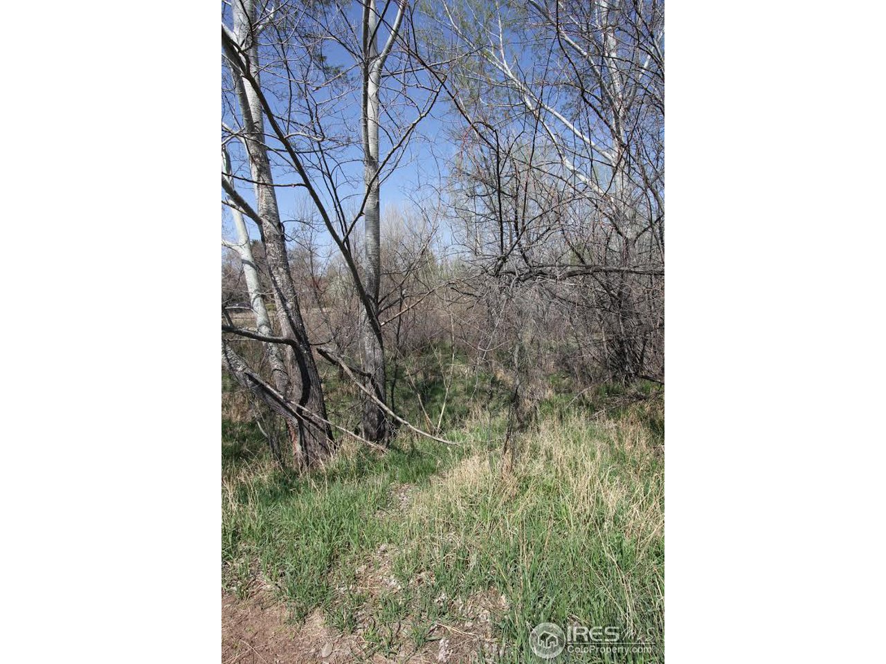 2001 West Prospect Road Fort Collins, CO 80526 - Photo 10 of 13 a picture of a window of the house