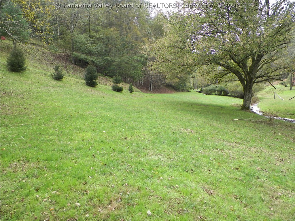 0 Deadfall Run Road Ivydale, WV 25113 - Photo 5 of 19 Gallery Image 5