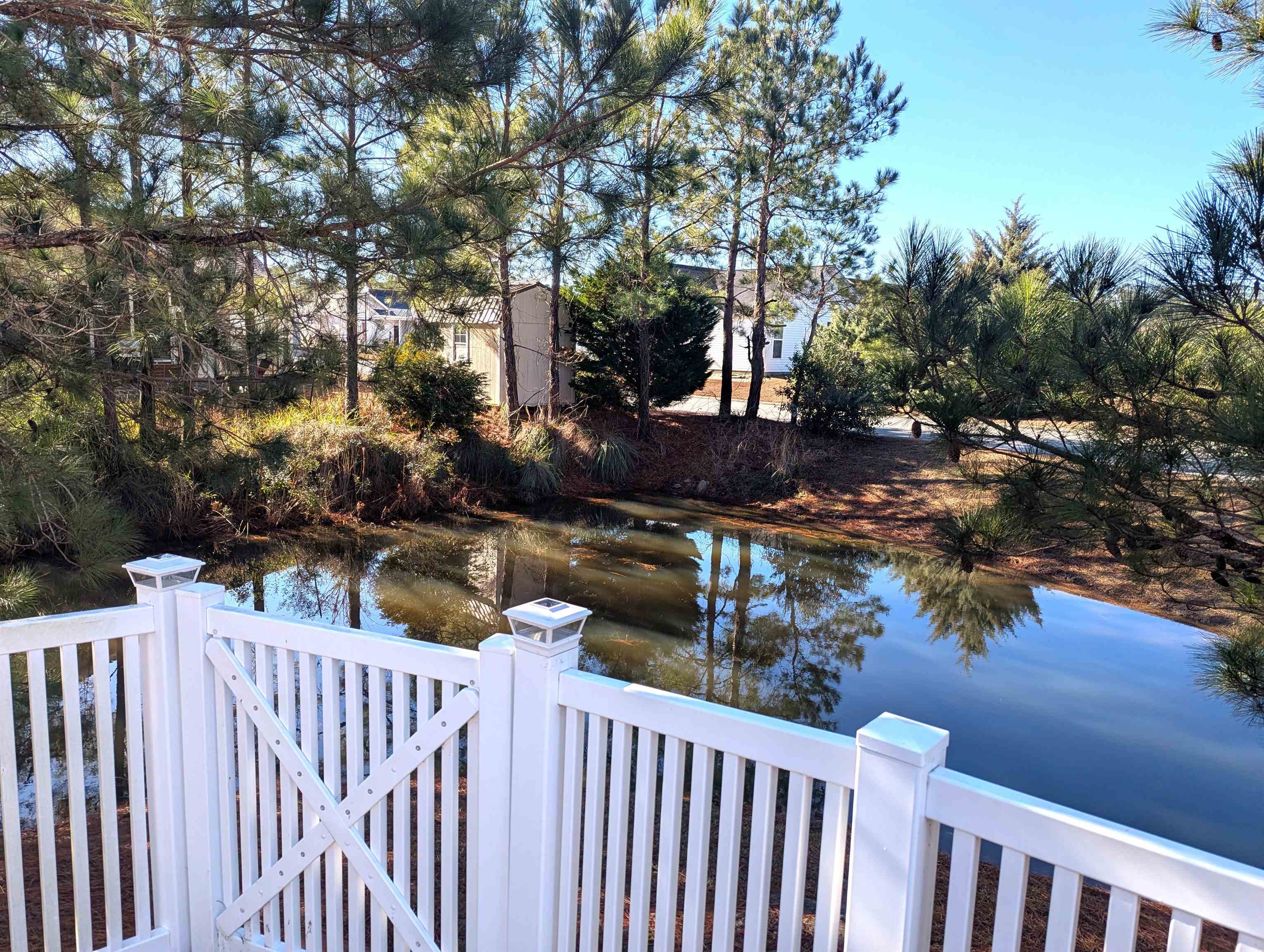 1100 Eureka Trail Longs, SC 29568 - Photo 29 of 40 Water view