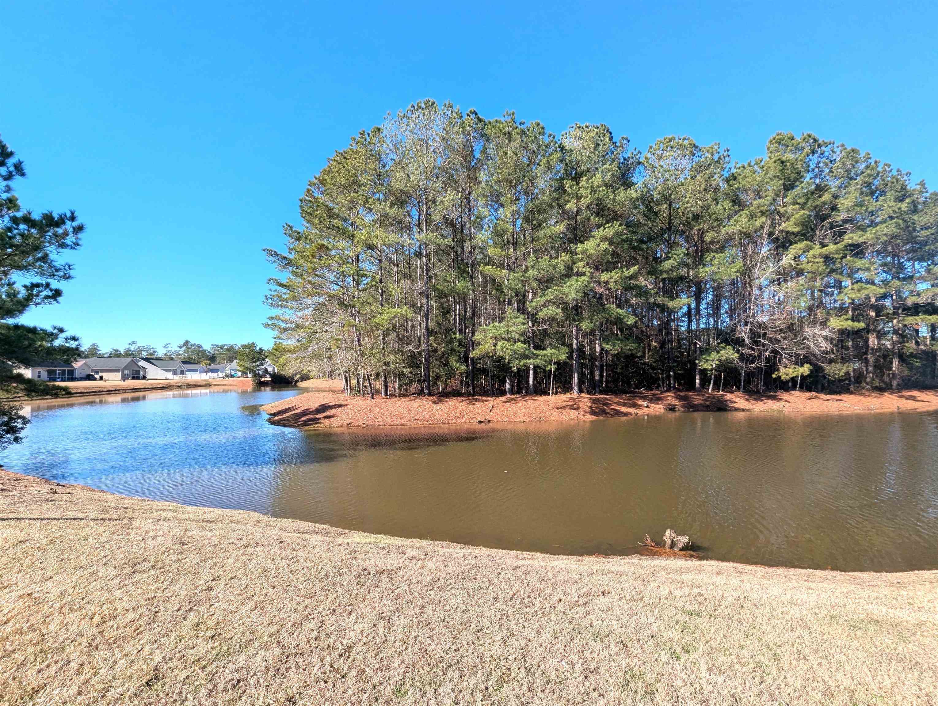 1100 Eureka Trail Longs, SC 29568 - Photo 32 of 40 Water view