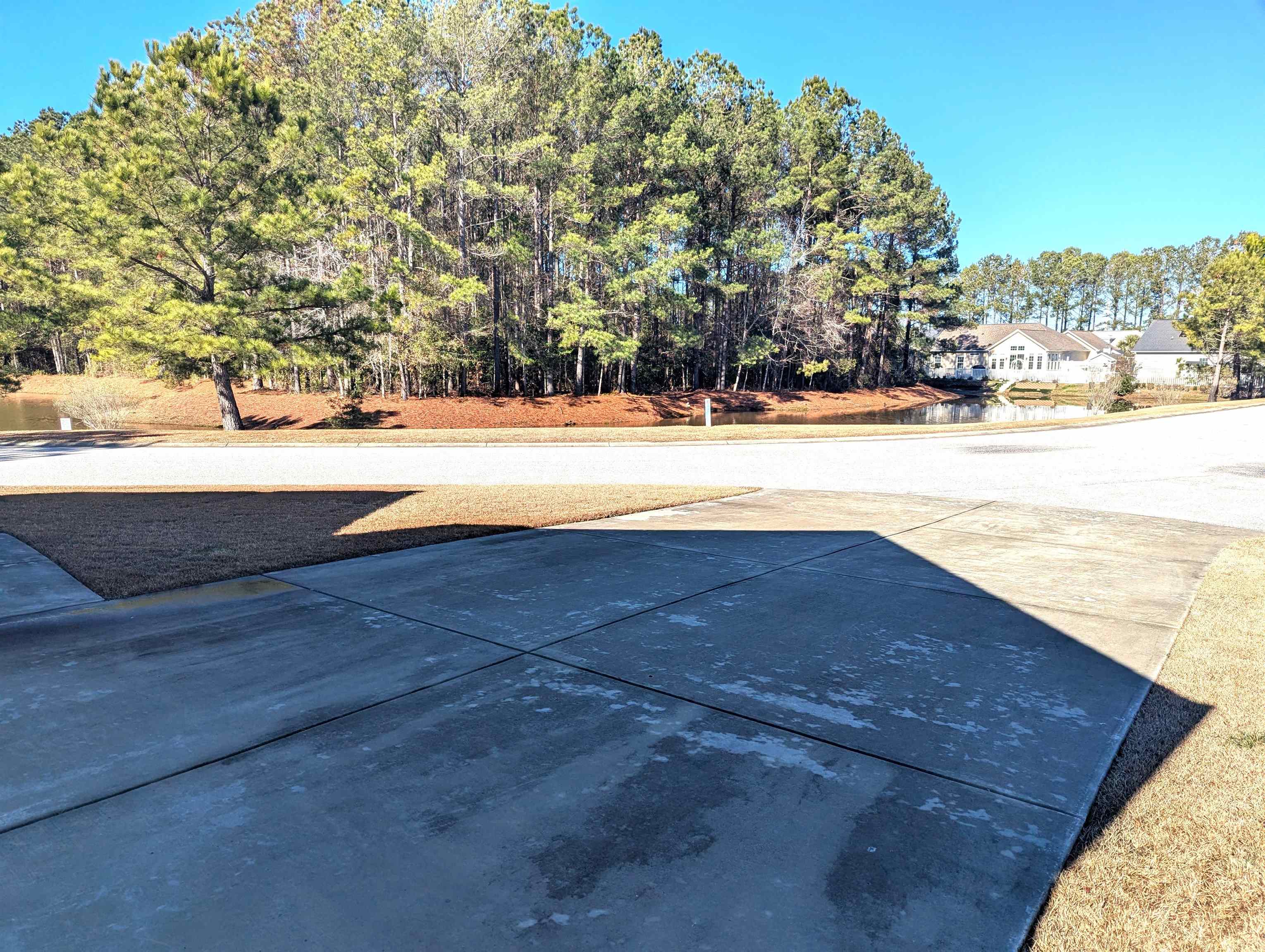1100 Eureka Trail Longs, SC 29568 - Photo 36 of 40 View of pool