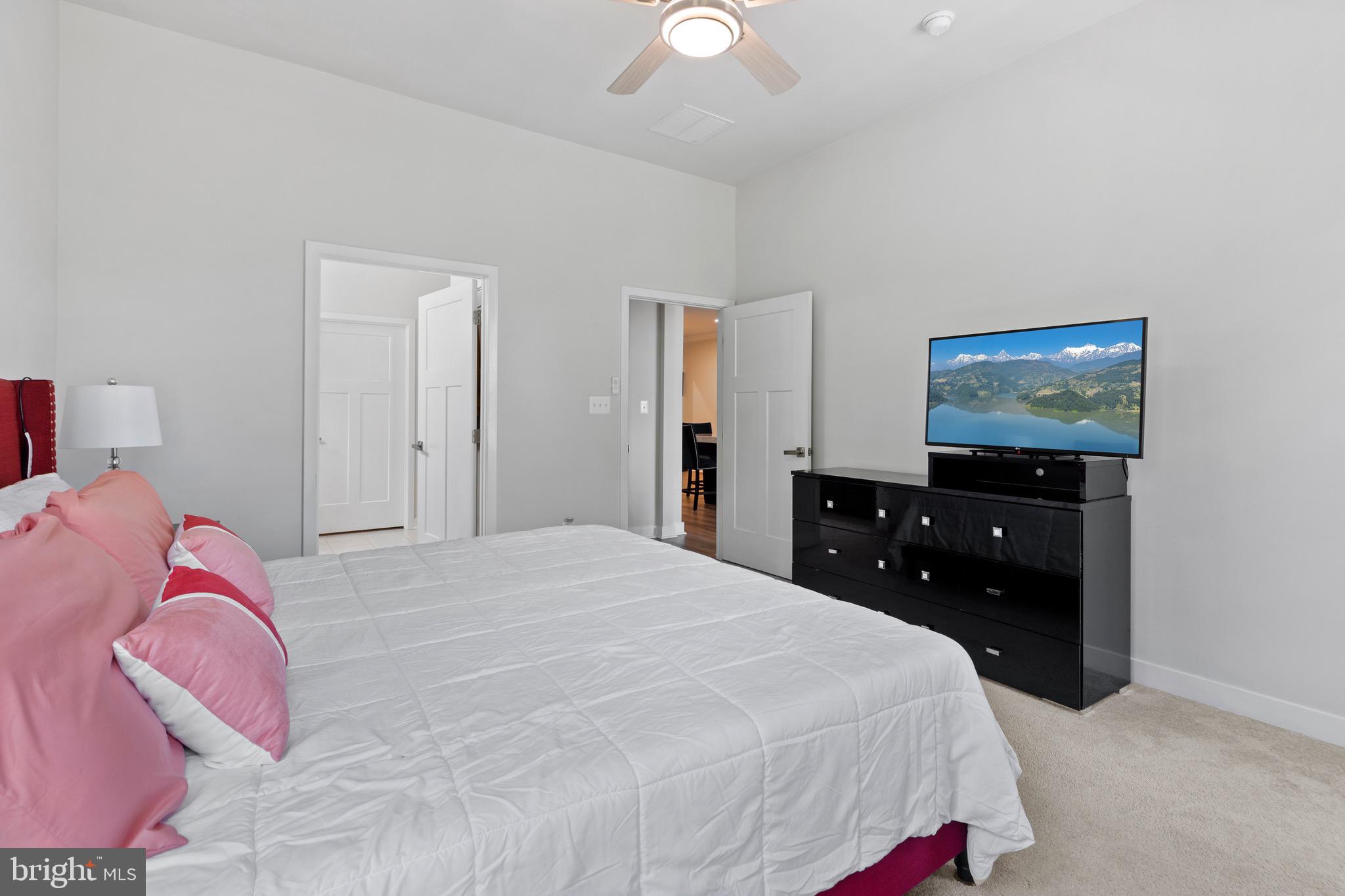 18221 Red Mulberry Road Dumfries, VA 22026 - Photo 24 of 72 Main level Primary Suite