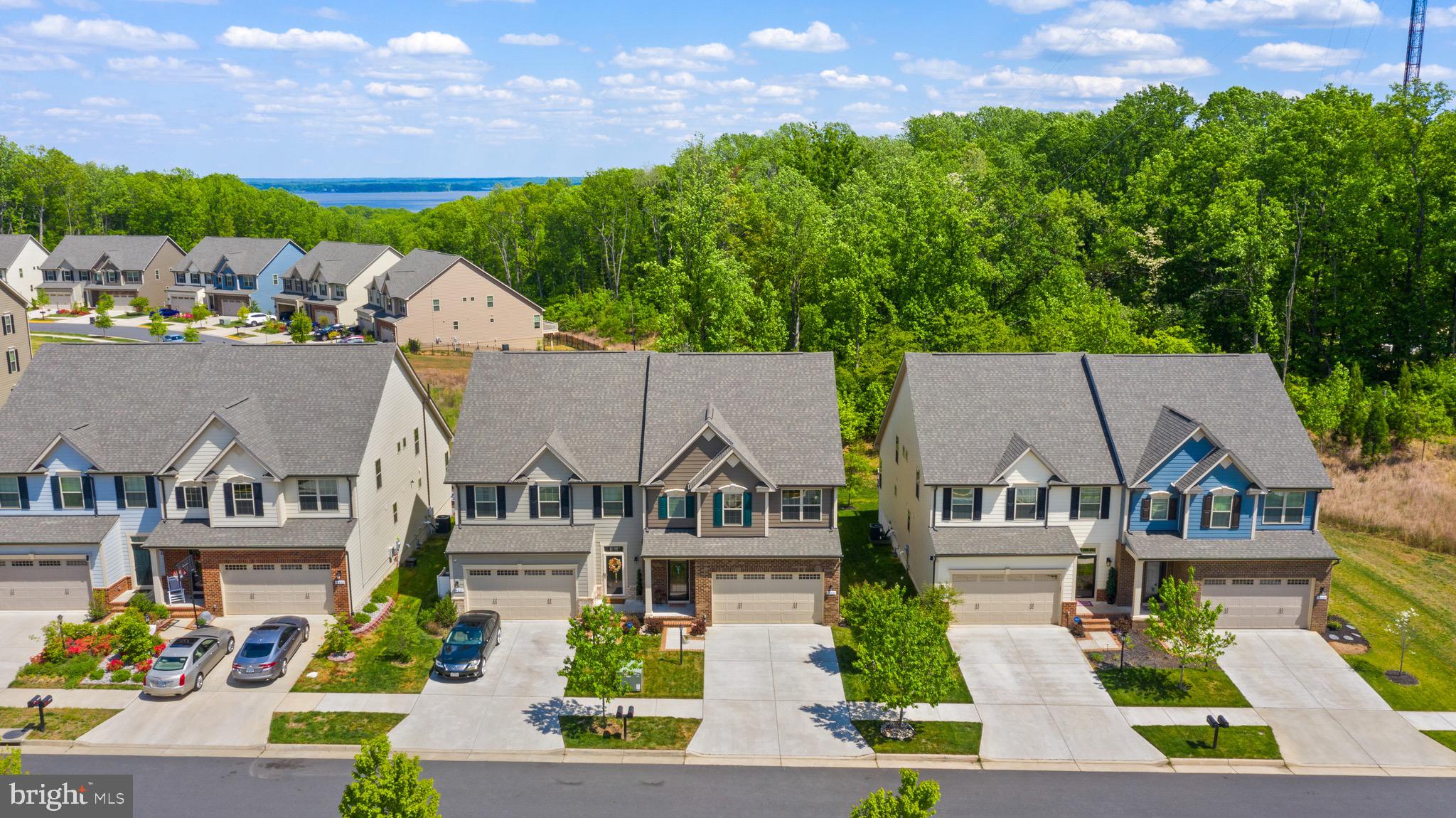 18221 Red Mulberry Road Dumfries, VA 22026 - Photo 57 of 72 Premium Lot backs to protected Tree area