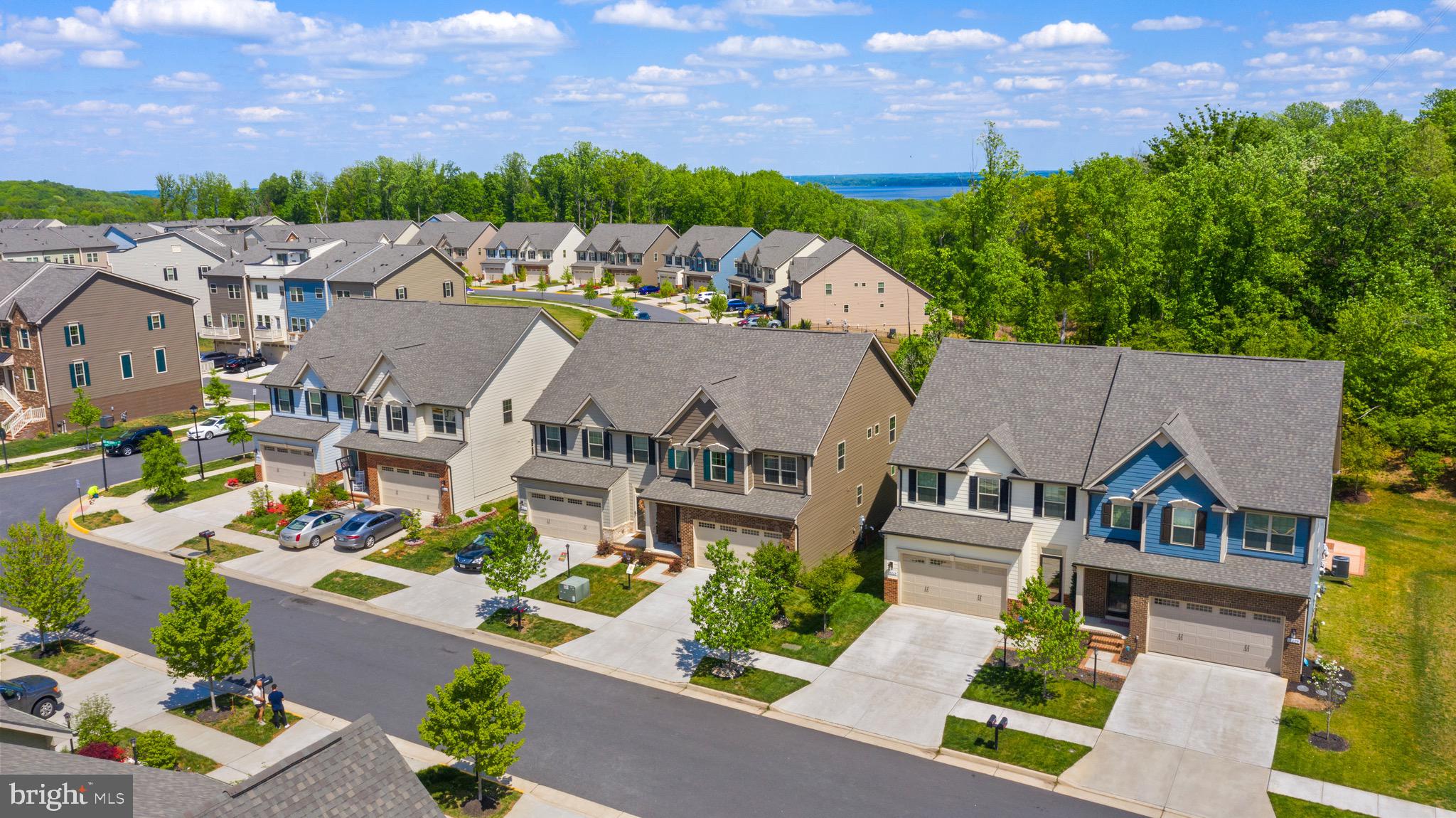 18221 Red Mulberry Road Dumfries, VA 22026 - Photo 58 of 72 Premium Lot backs to protected Tree area