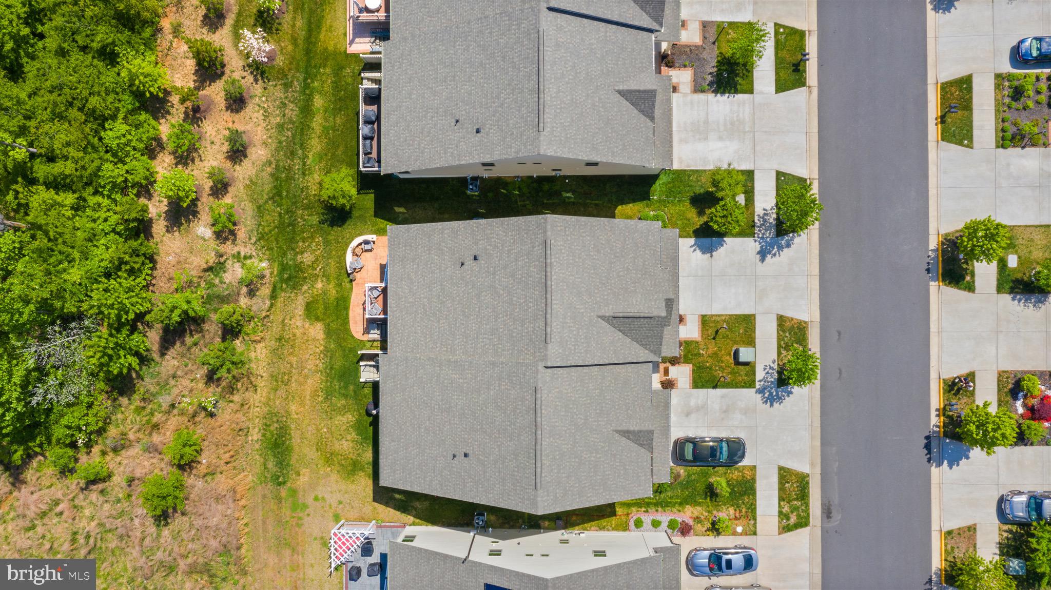 18221 Red Mulberry Road Dumfries, VA 22026 - Photo 61 of 72 Premium Lot backs to protected Tree area