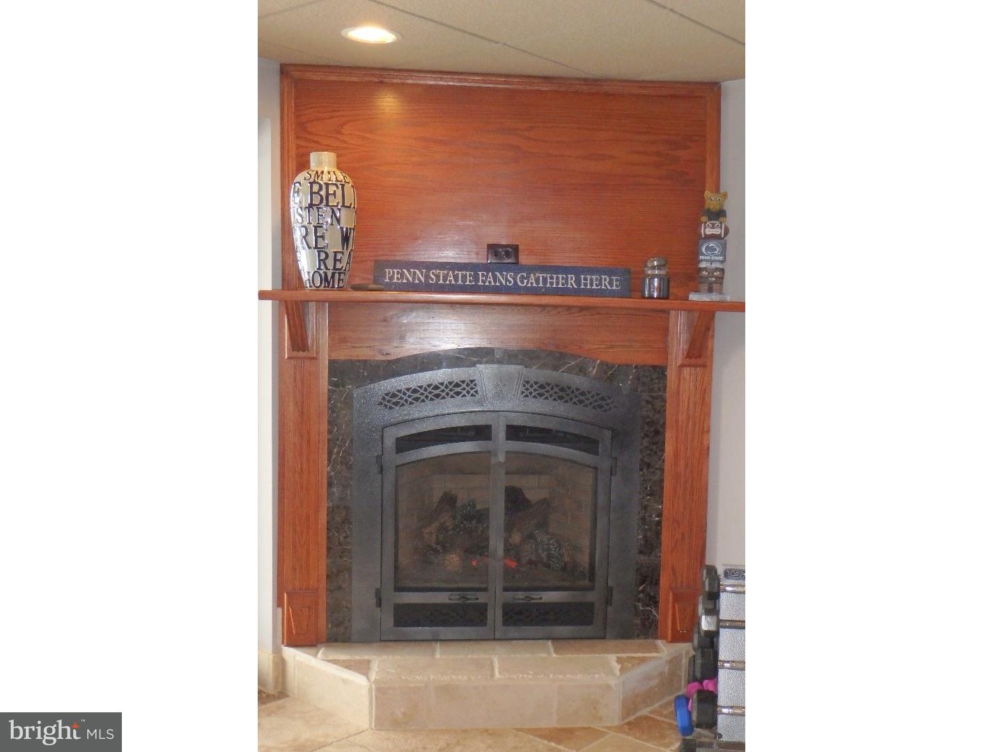 4987 Chestnut Hill Road Center Valley, PA 18034 - Photo 16 of 20 Fireplace