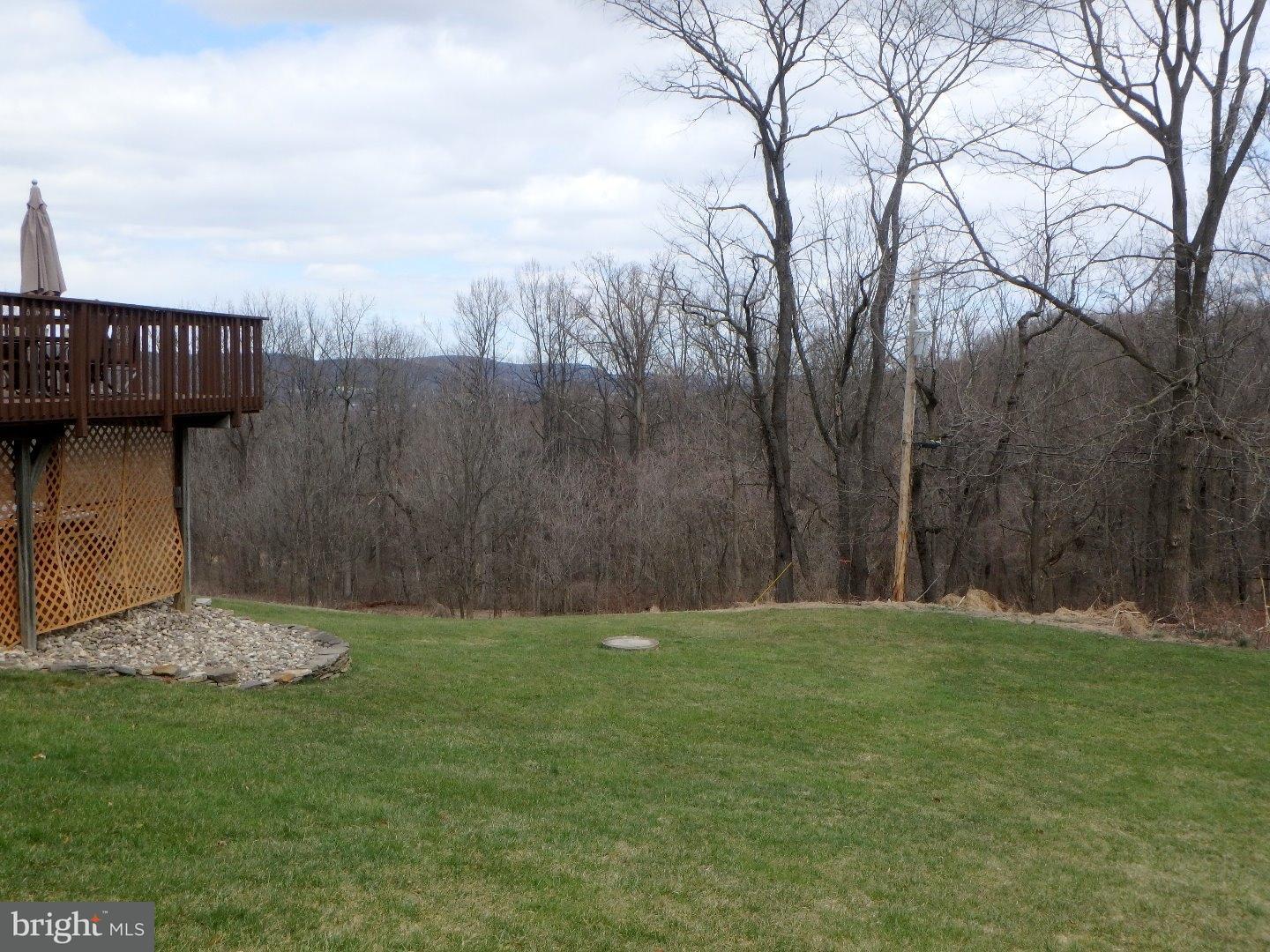 4987 Chestnut Hill Road Center Valley, PA 18034 - Photo 19 of 20 Side Yard