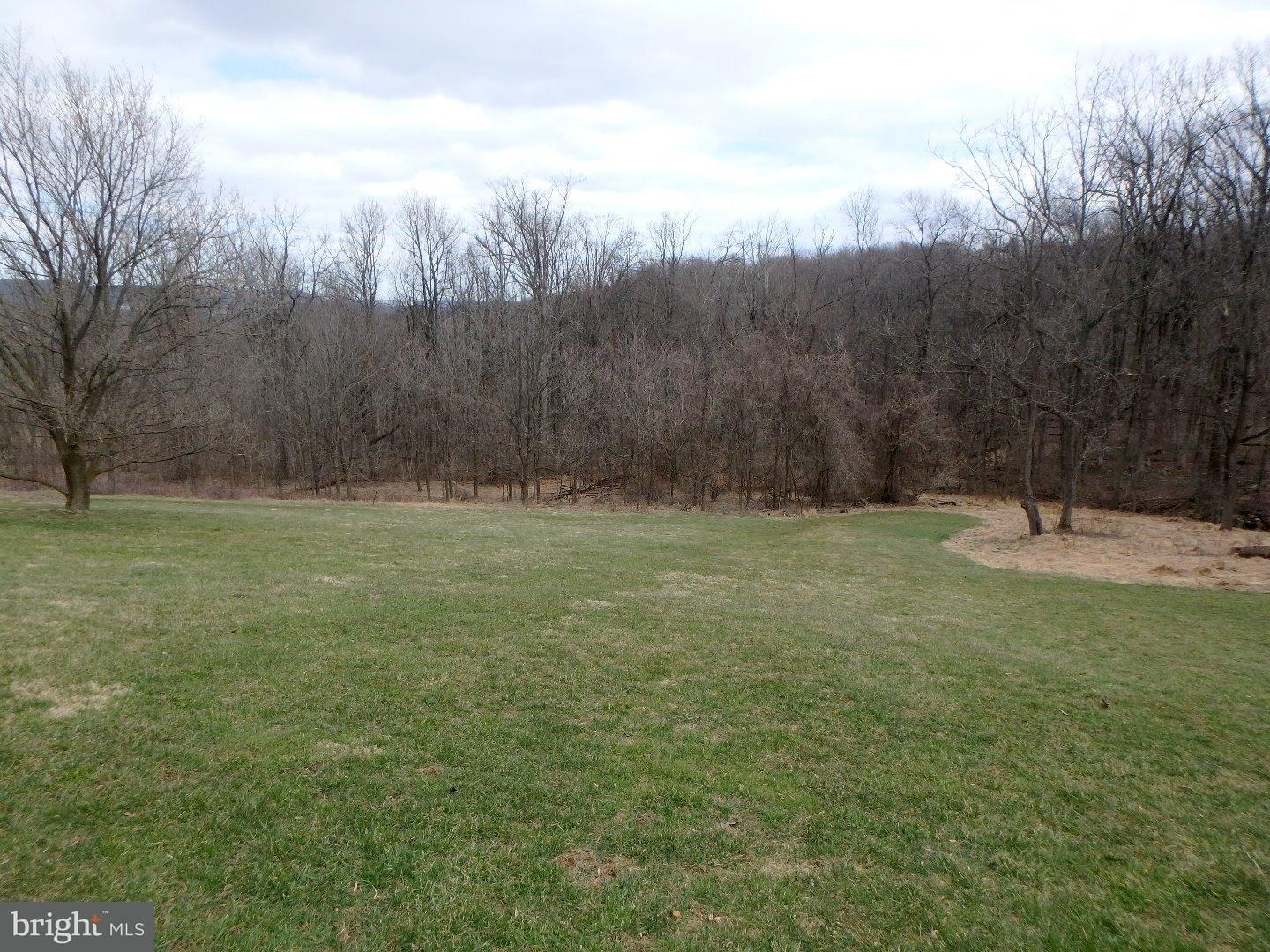 4987 Chestnut Hill Road Center Valley, PA 18034 - Photo 20 of 20 Back Yard