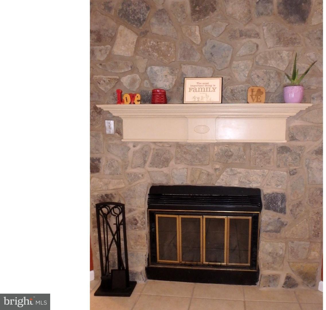 4987 Chestnut Hill Road Center Valley, PA 18034 - Photo 4 of 20 Fireplace