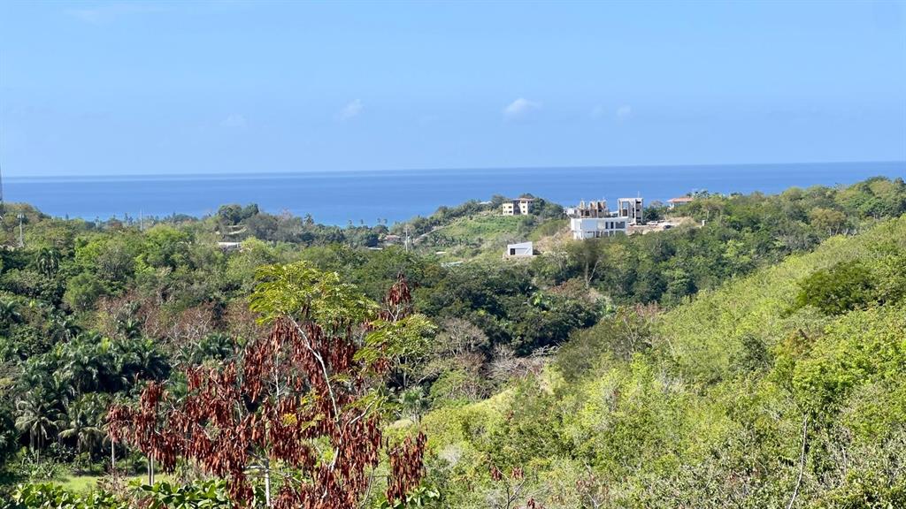 413 Bo Ensenada Solar G Carretera Rincon, PR 00677 - Photo 2 of 21