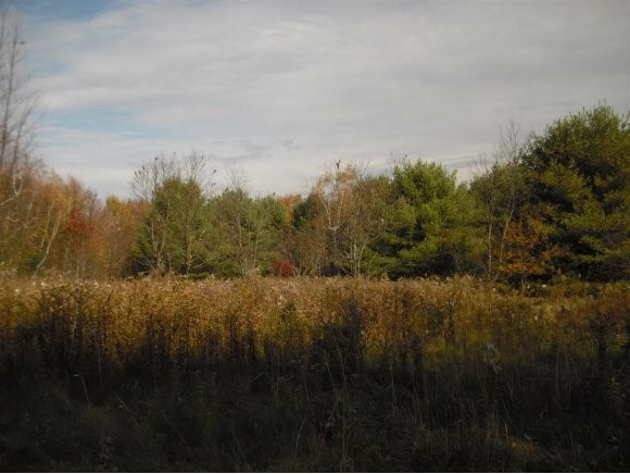 55-58 Stone Road Gilmanton, NH 03237 - Photo 1 of 1