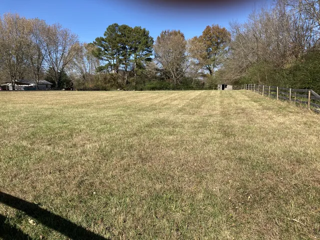 a view of yard with trees