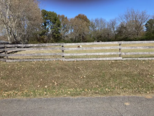 a view of a field with trees in the background