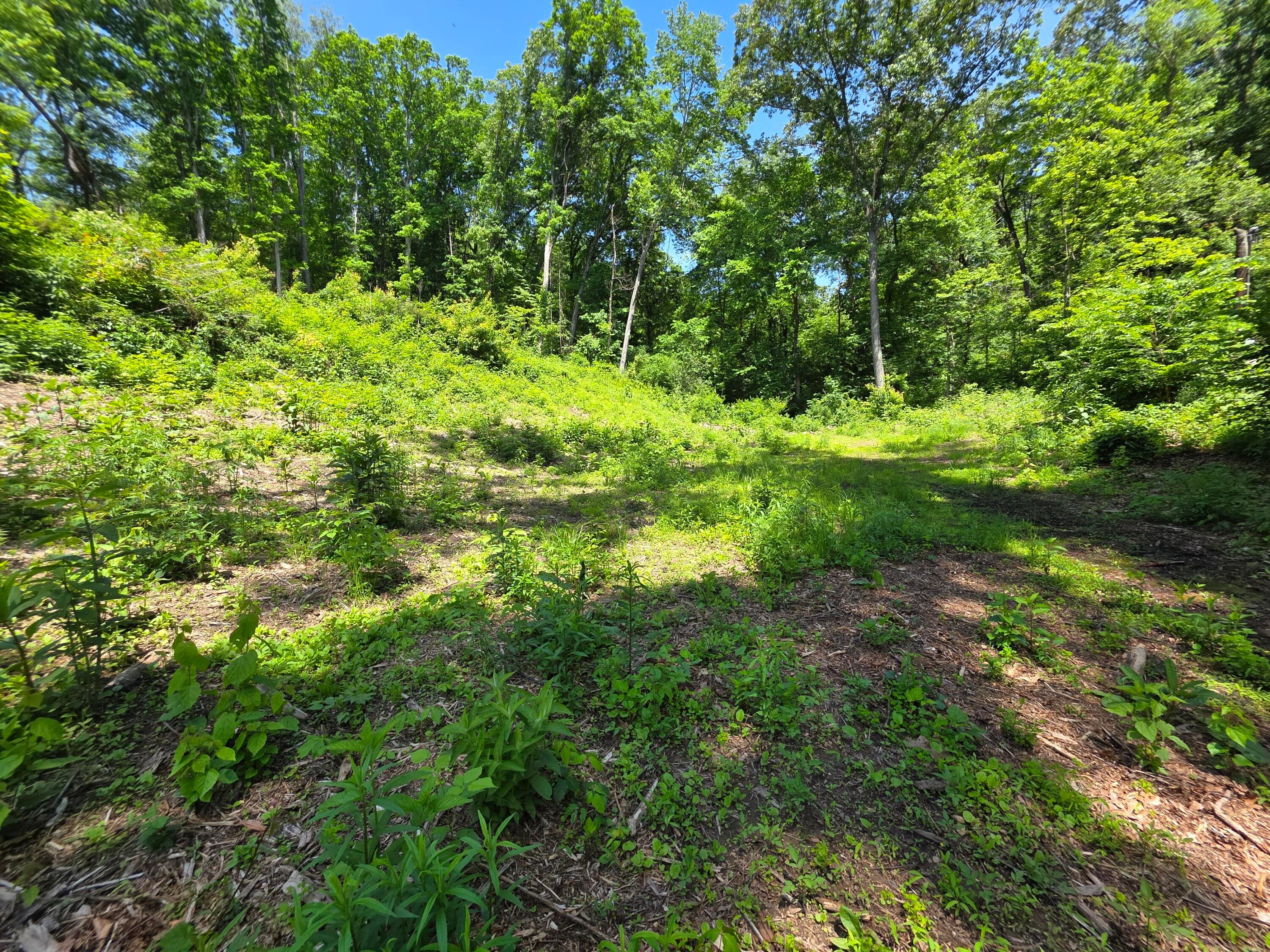 513 Ross Road Southeast Lancaster, OH 43130 - Photo 11 of 12 20260529_121958