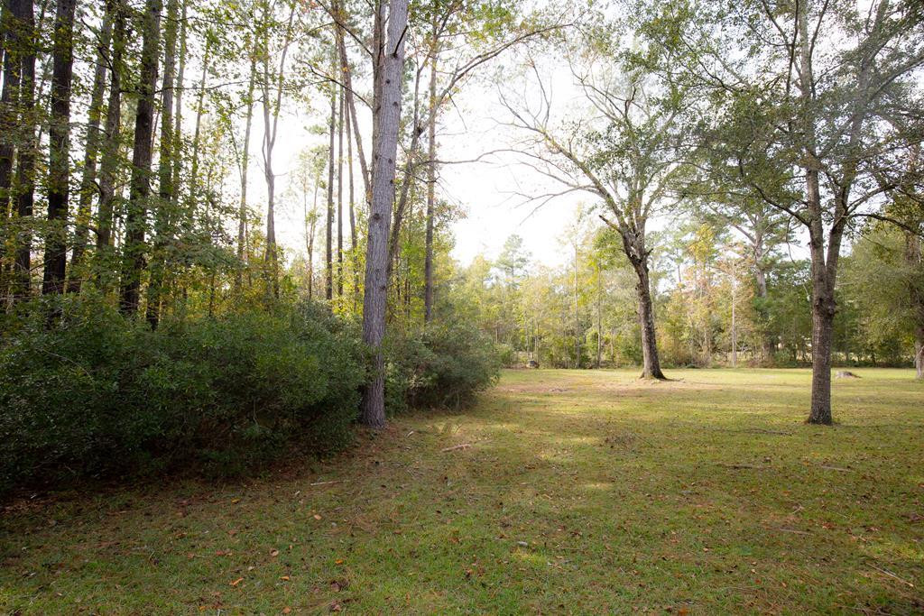 499 Pine Street Bamberg, SC 29003 - Photo 26 of 28 a view of outdoor space with trees