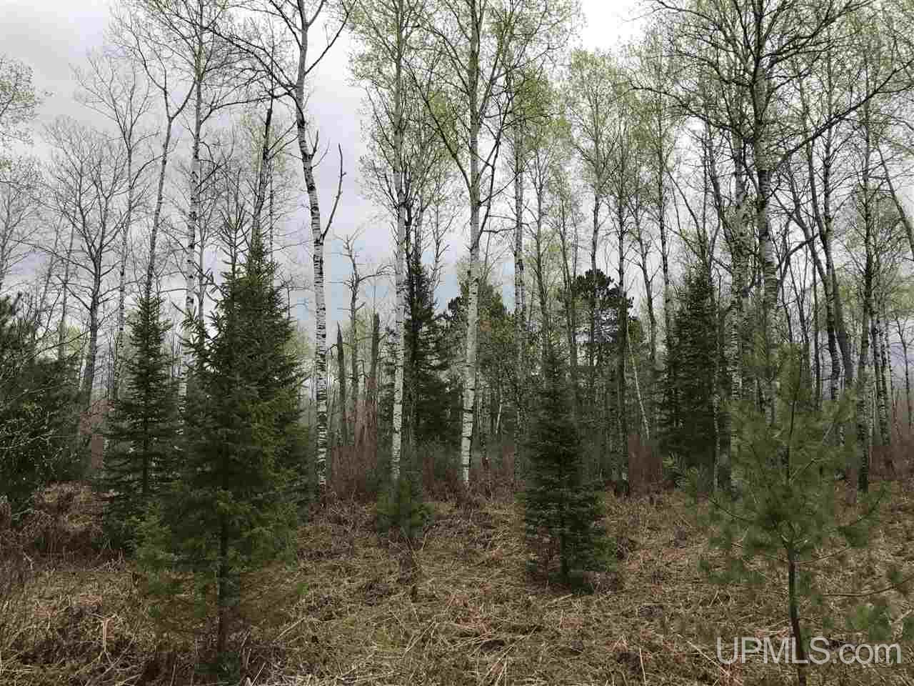 40-ac Kelso Road Crystal Falls, MI 49920 - Photo 11 of 21